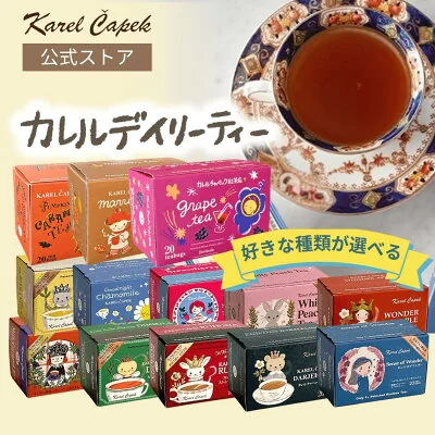 カレルチャペック デイリーシリーズ 20p
