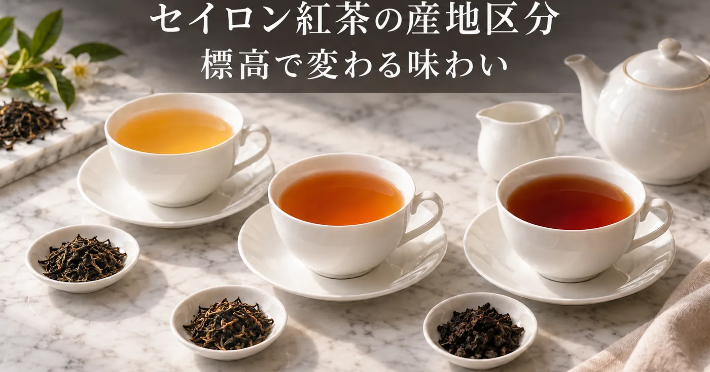 セイロン紅茶の産地区分｜標高で変わる味わい（ディンブラ・ヌワラエリヤ・ウバ・キャンディ・ルフナ）