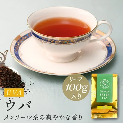 TEA ISOBUCHI ウバ 100g（バンダラエリヤ茶園）